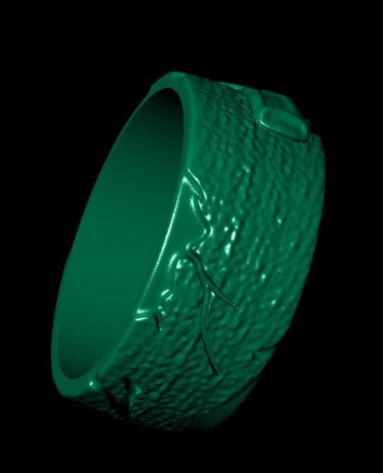 Ring dp40 3D print model_13