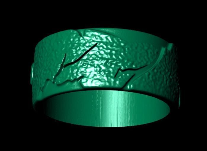 Ring dp40 3D print model_7