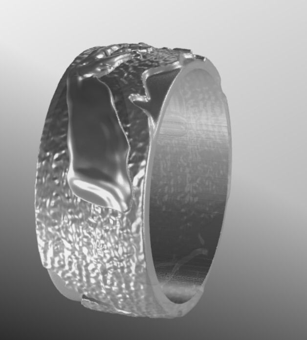 Ring dp40 3D print model_16