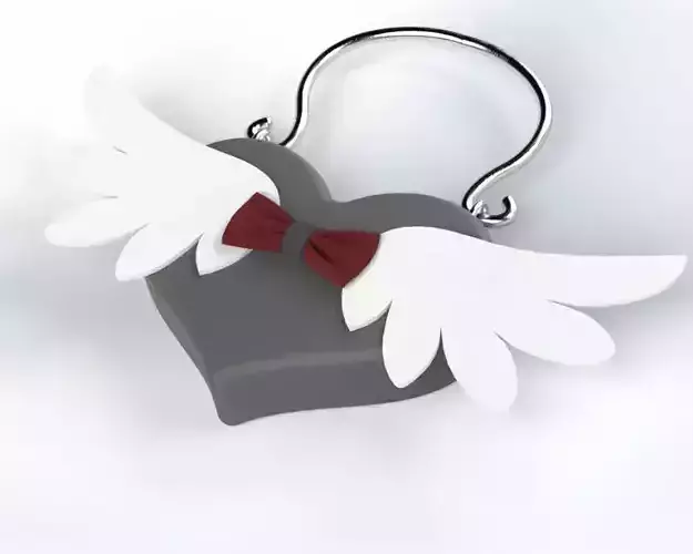 Heart shaped love bag