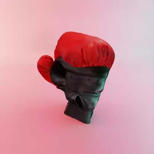 Boxing Glove