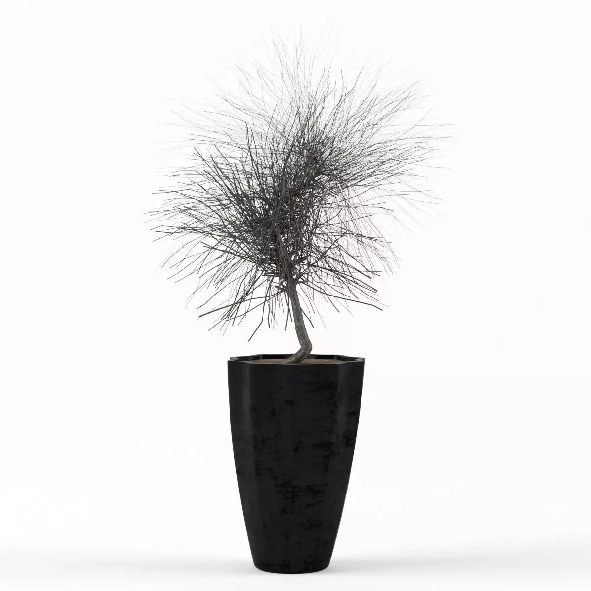 Dry Tree 3D model