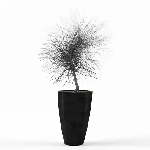 Dry Tree 3D model