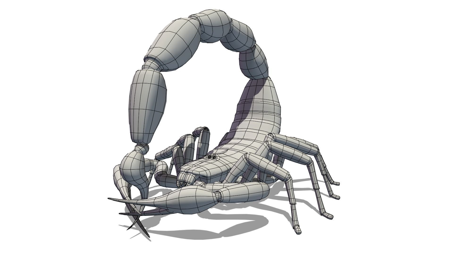 Transvaal Scorpion Free 3D model_4