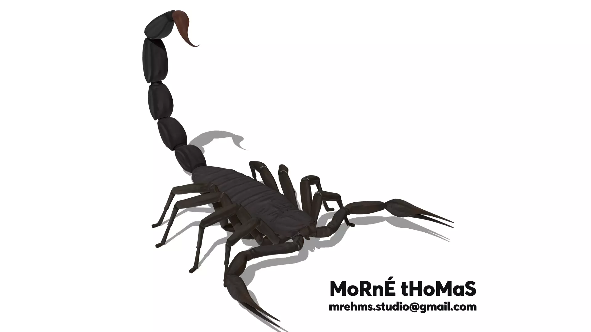 Transvaal Scorpion Free 3D model_0
