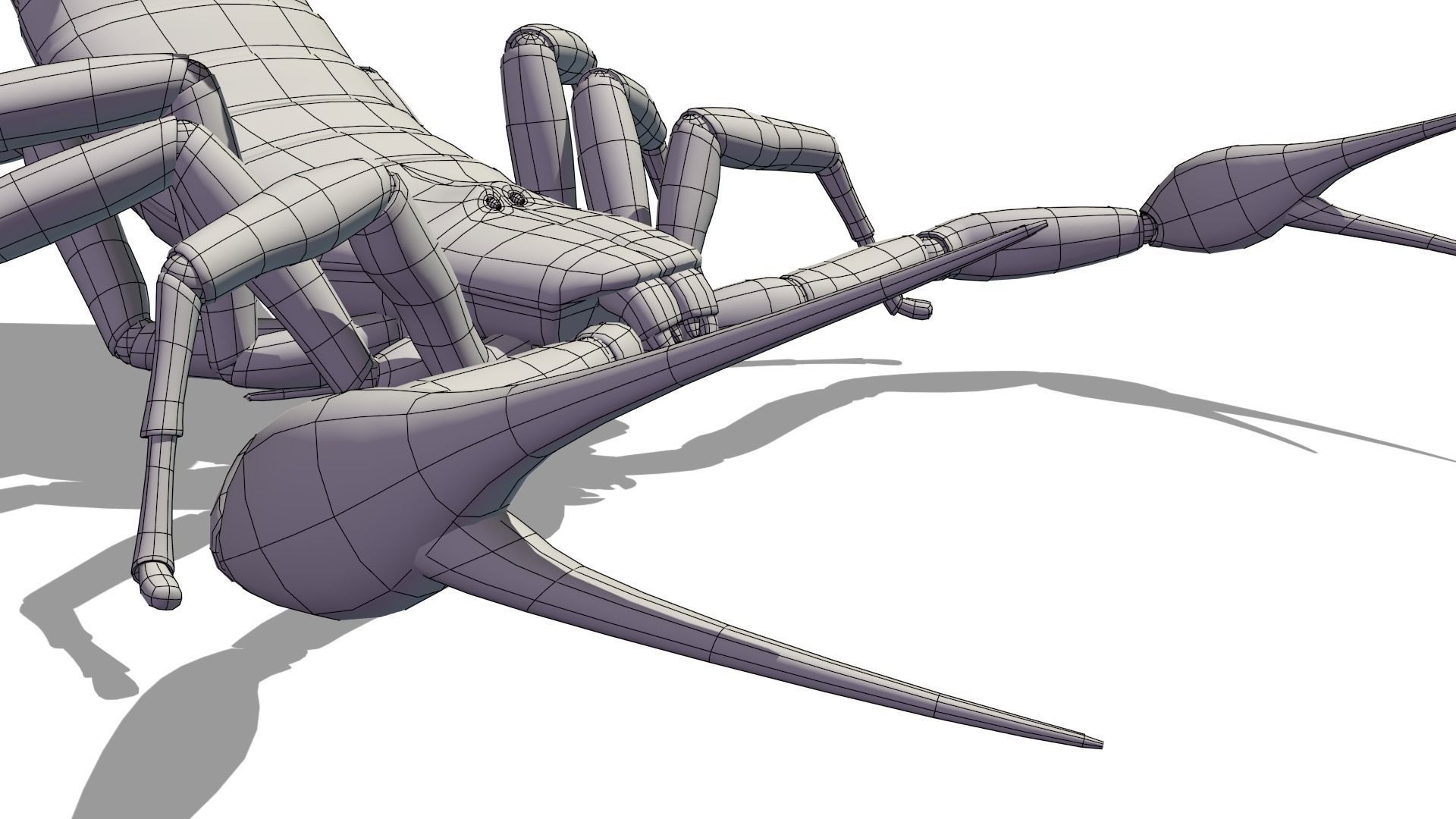 Transvaal Scorpion Free 3D model_8
