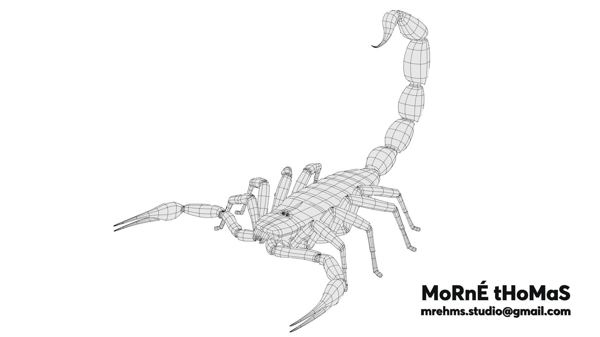 Transvaal Scorpion Free 3D model_2