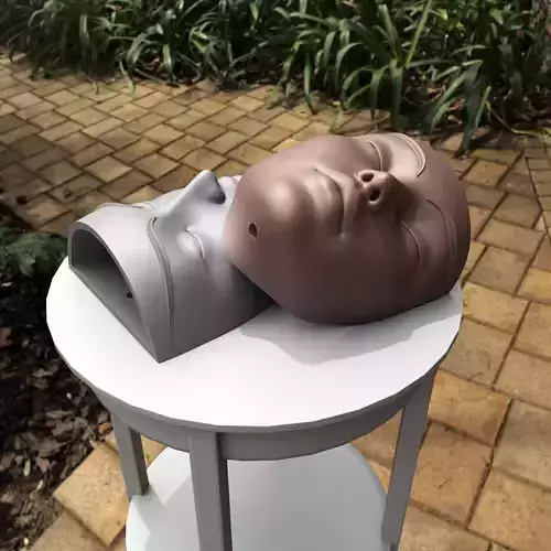 WOMAN FACE WALL HANGING PLANTER - WALL DECORATION 3D print model