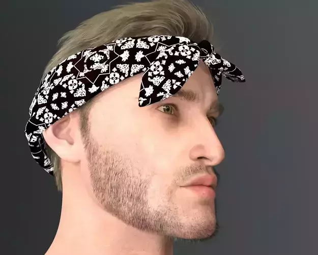 Folded Bandana Package 3D model