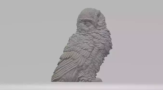 Little Owl 3D Model