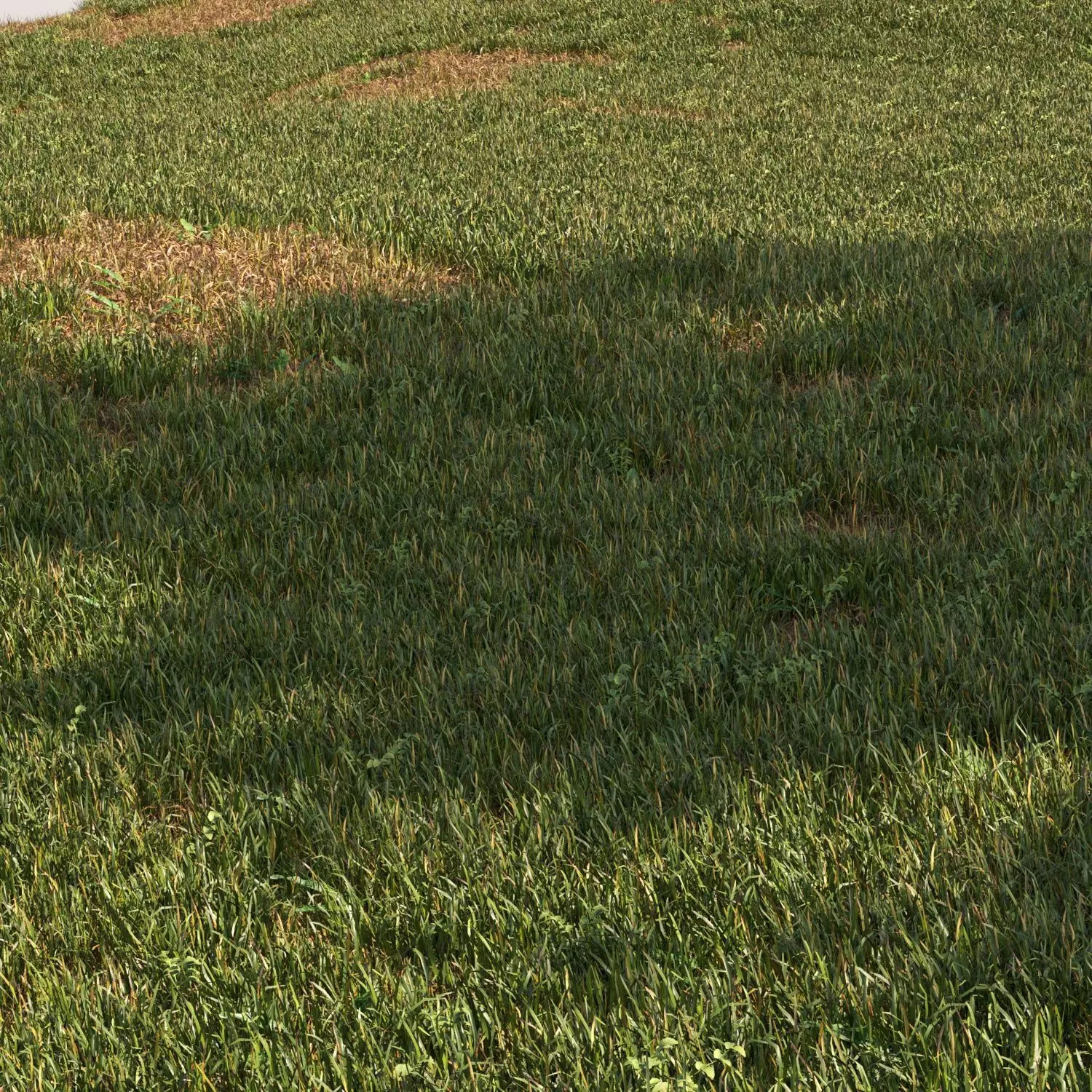 grass set03 3D model