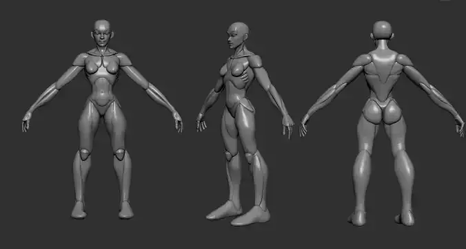 Female Basebody for Sculpting 3D model