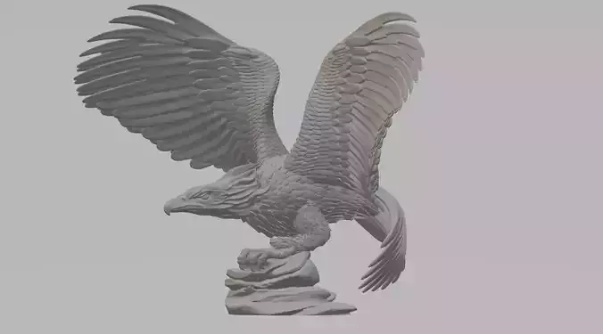 Eagle 3D Model 3D Model 3D print model