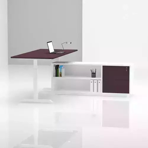 ADJUSTABLE TABLE