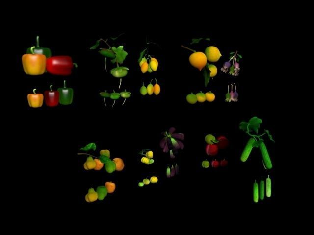 Collection Fruit Path7 Low-poly 3D model_1
