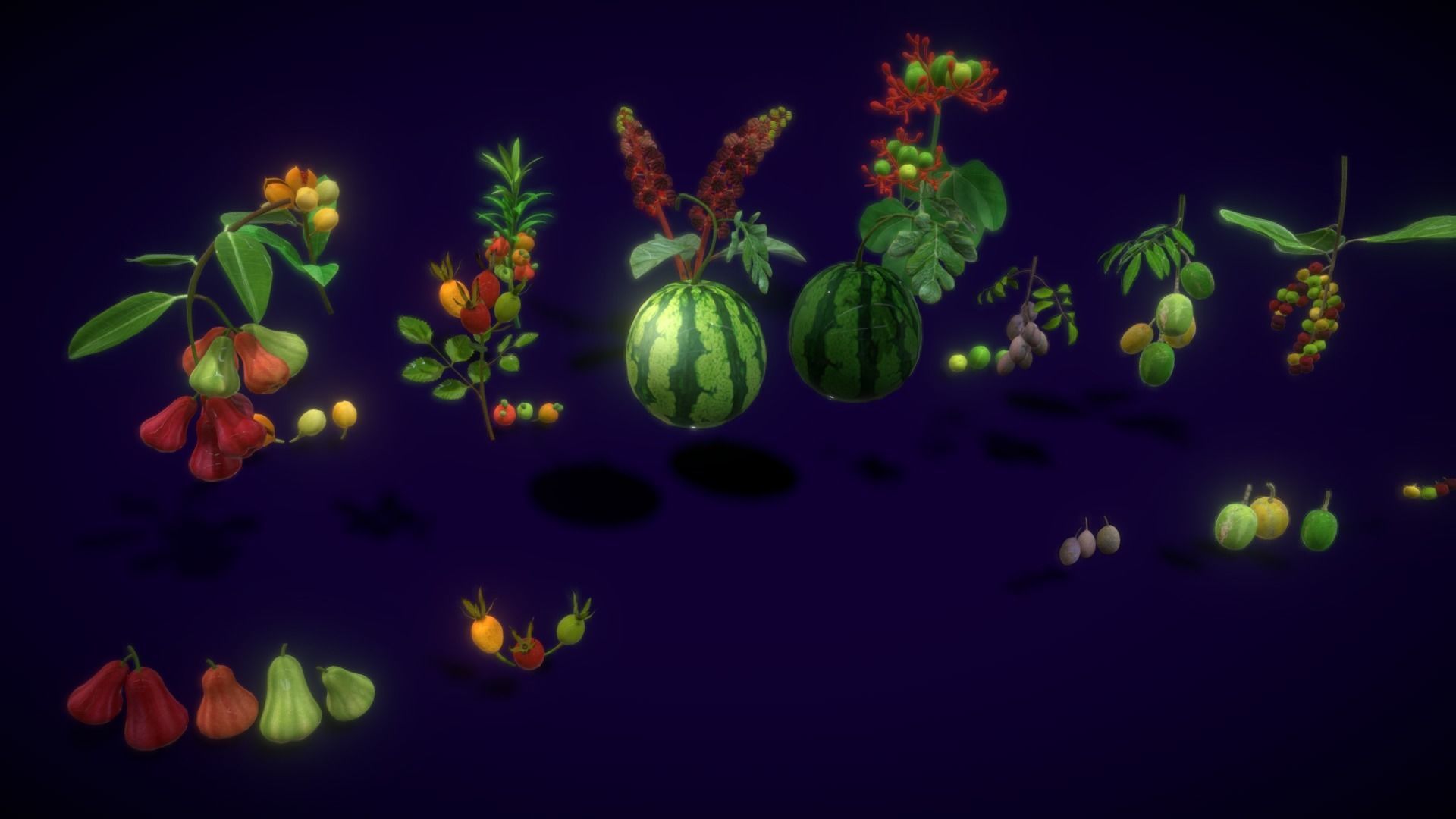 Collection Fruit Path6 Low-poly 3D model_2