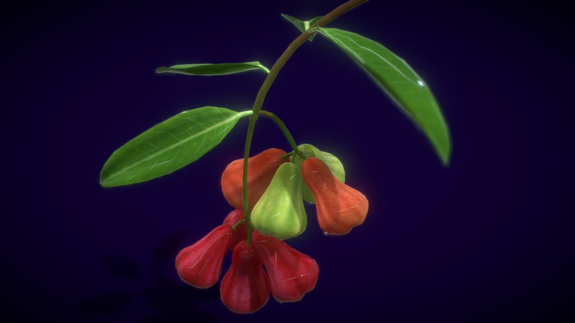 Collection Fruit Path6 Low-poly 3D model_12