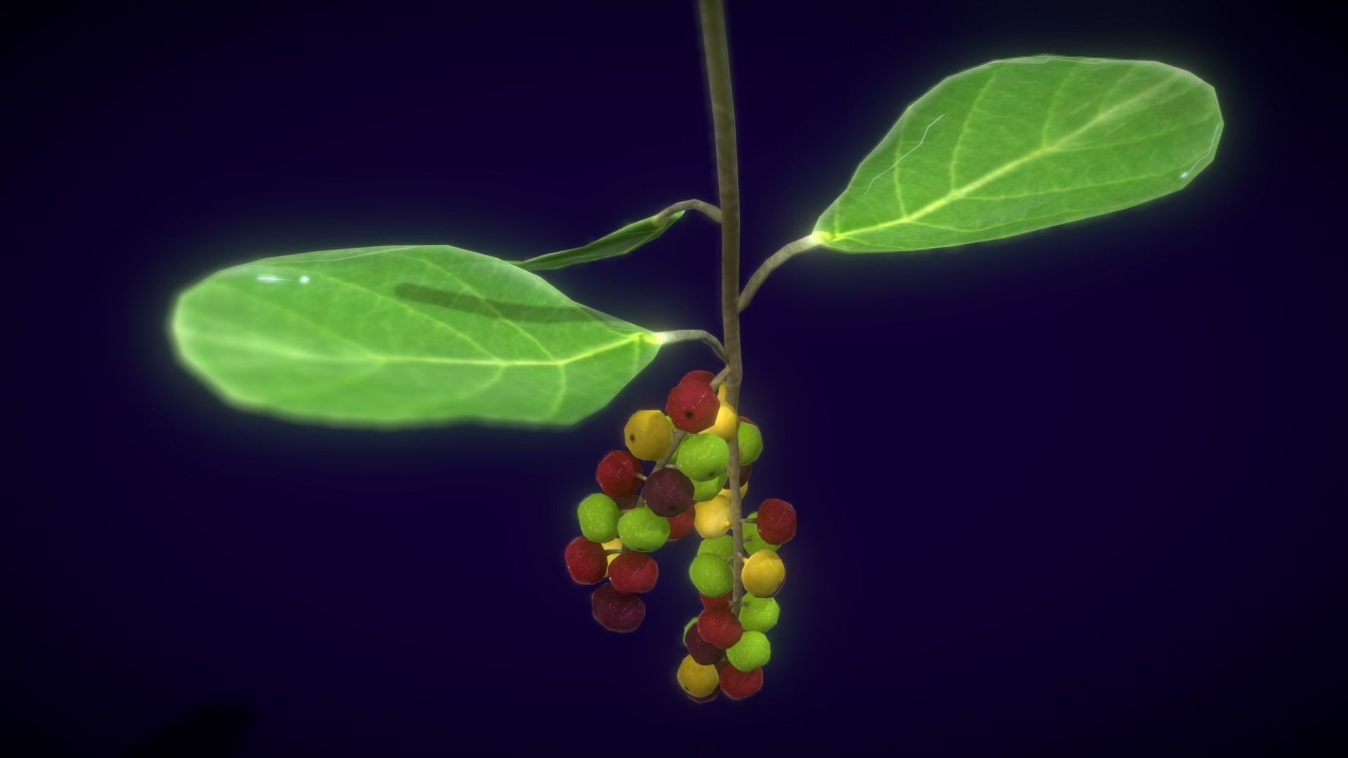 Collection Fruit Path6 Low-poly 3D model_10