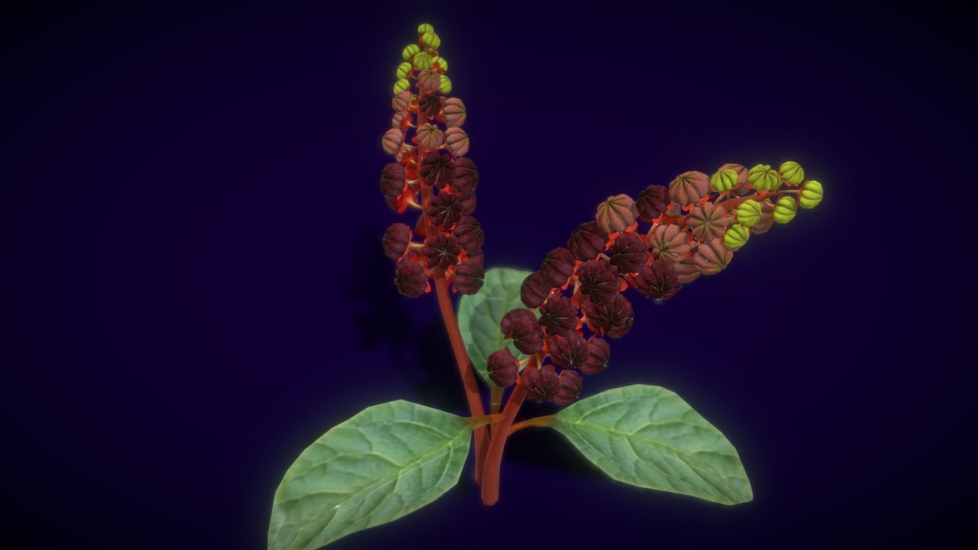 Collection Fruit Path6 Low-poly 3D model_19