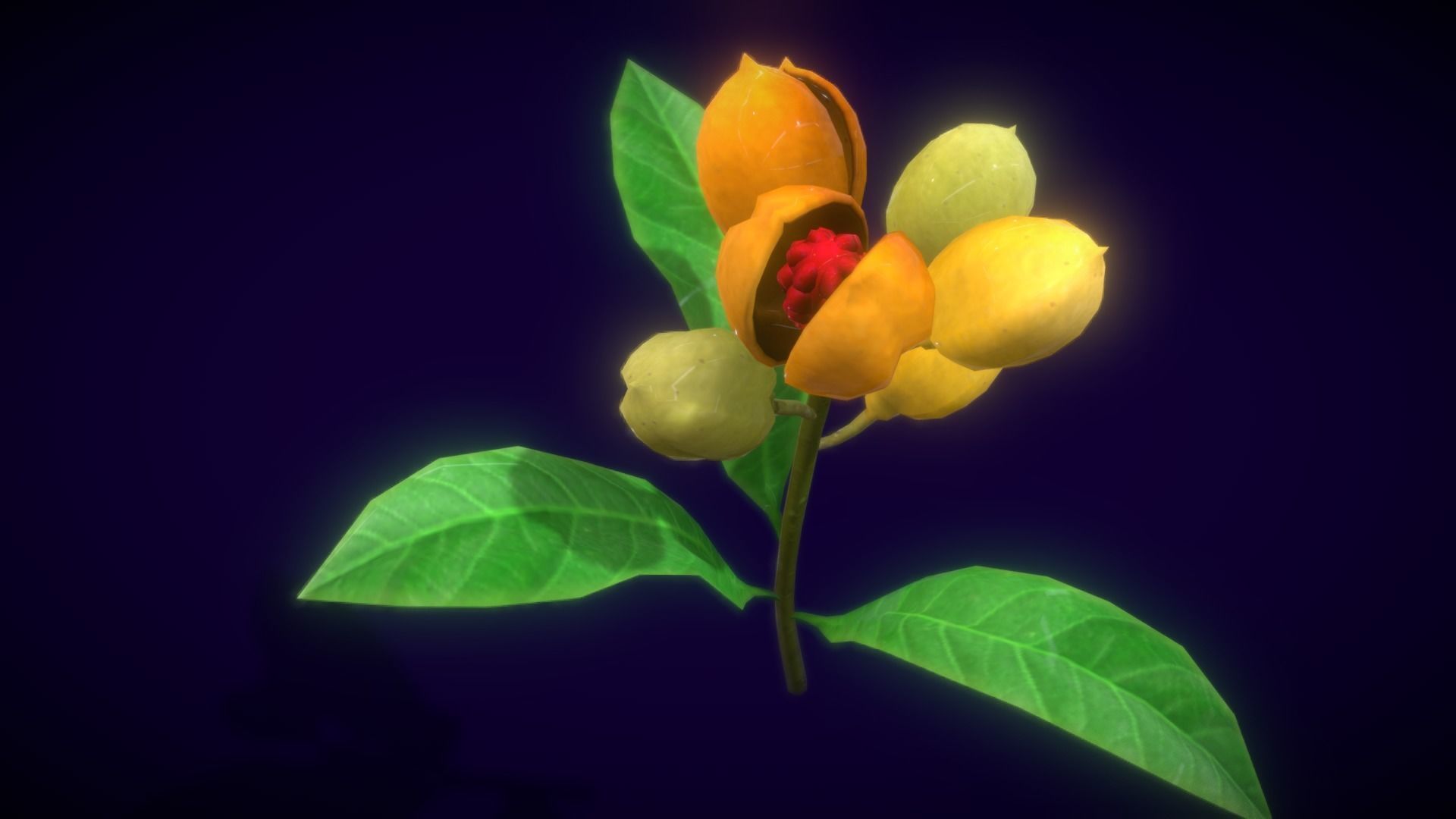 Collection Fruit Path6 Low-poly 3D model_9