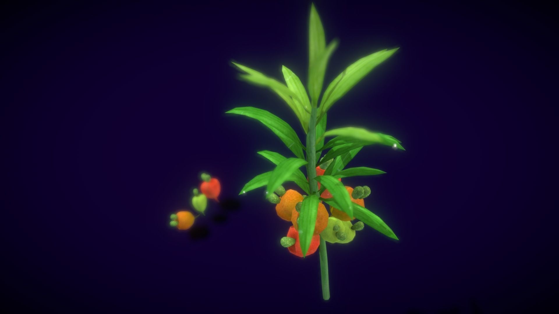 Collection Fruit Path6 Low-poly 3D model_4