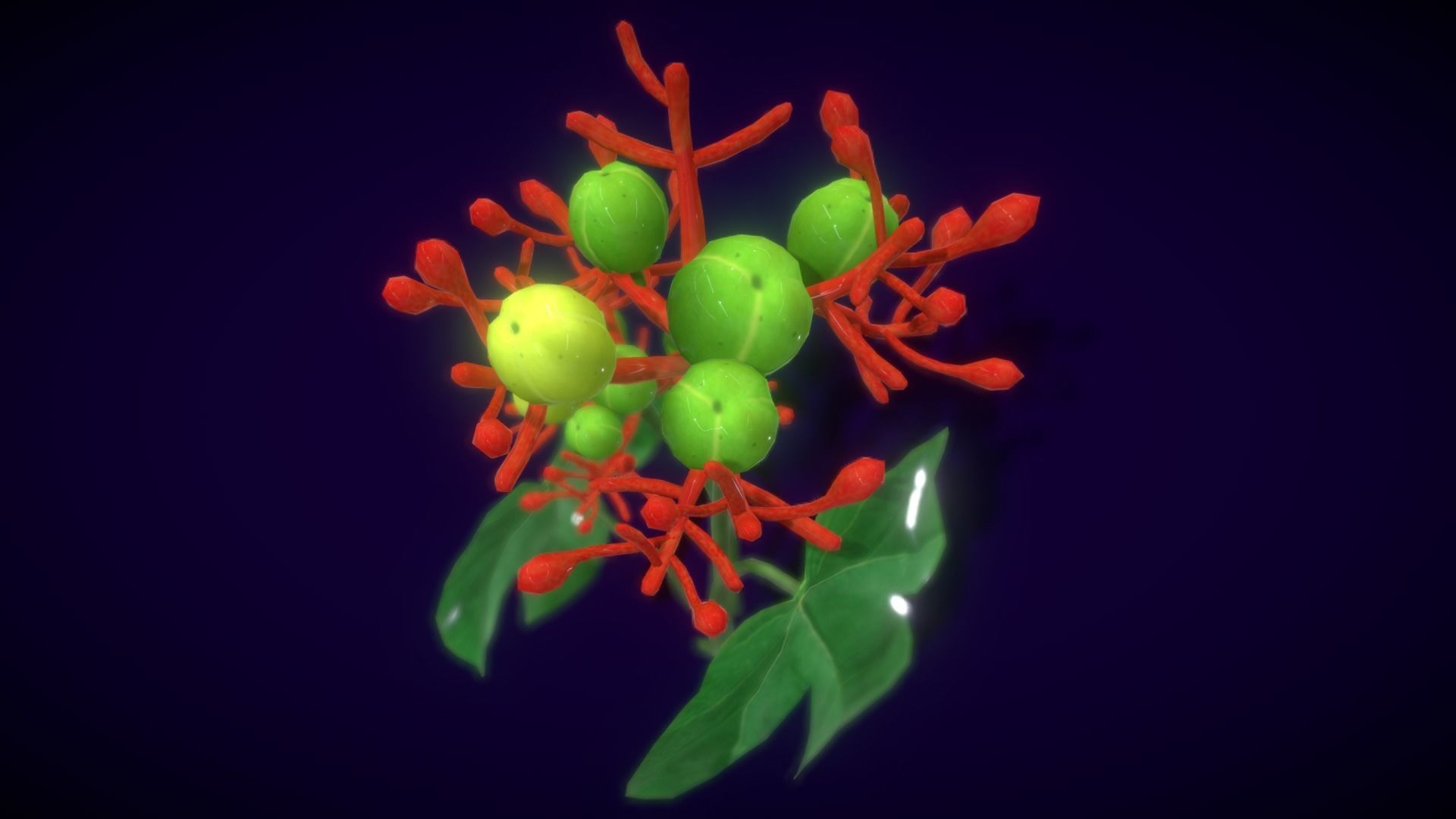 Collection Fruit Path6 Low-poly 3D model_8