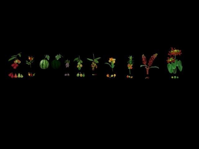 Collection Fruit Path6 Low-poly 3D model_16