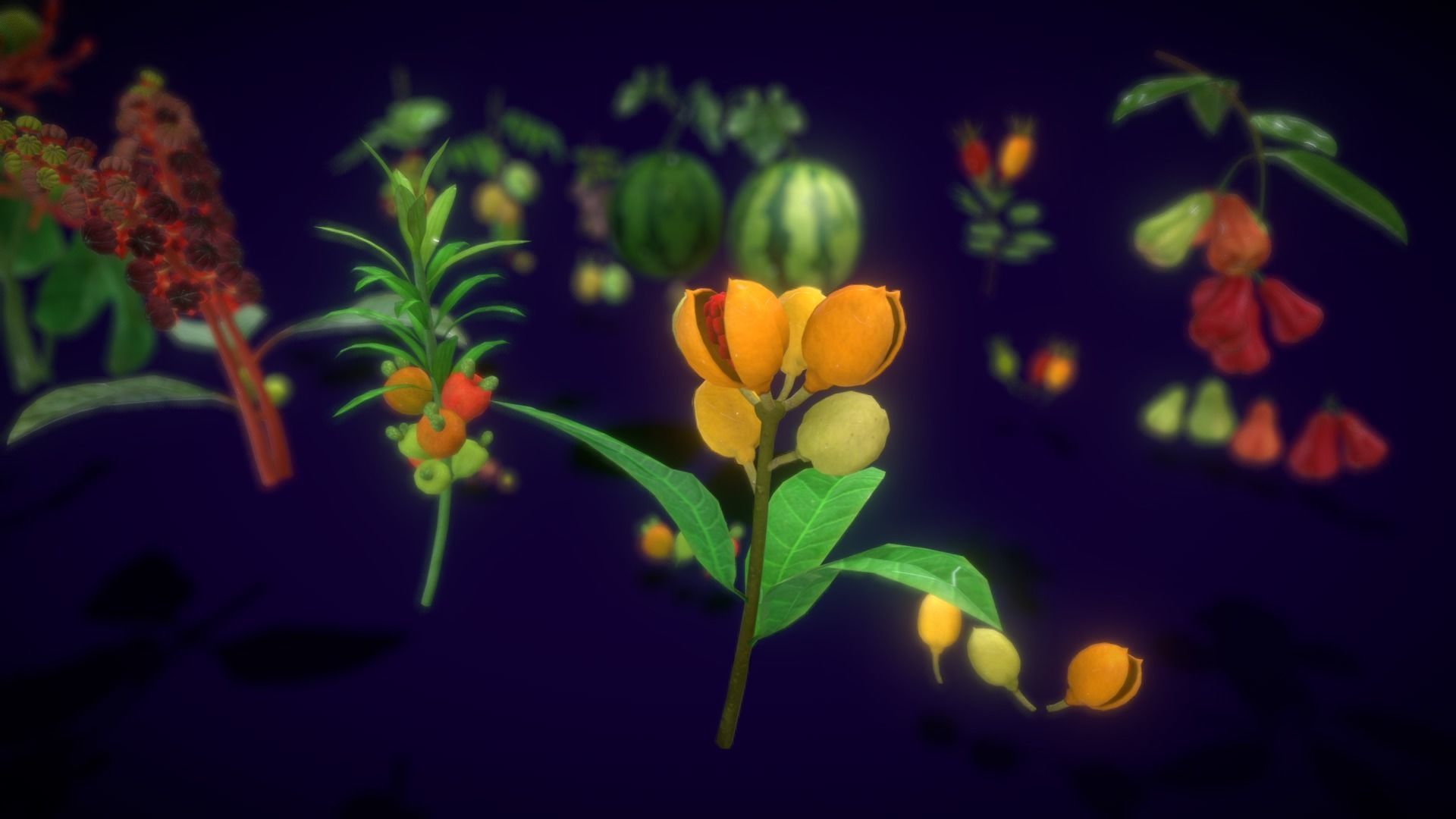 Collection Fruit Path6 Low-poly 3D model_18