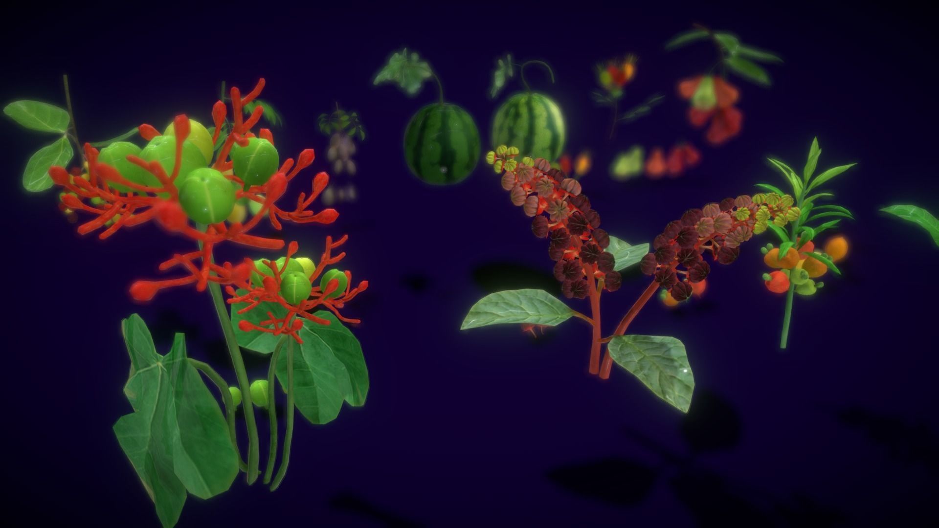 Collection Fruit Path6 Low-poly 3D model_1