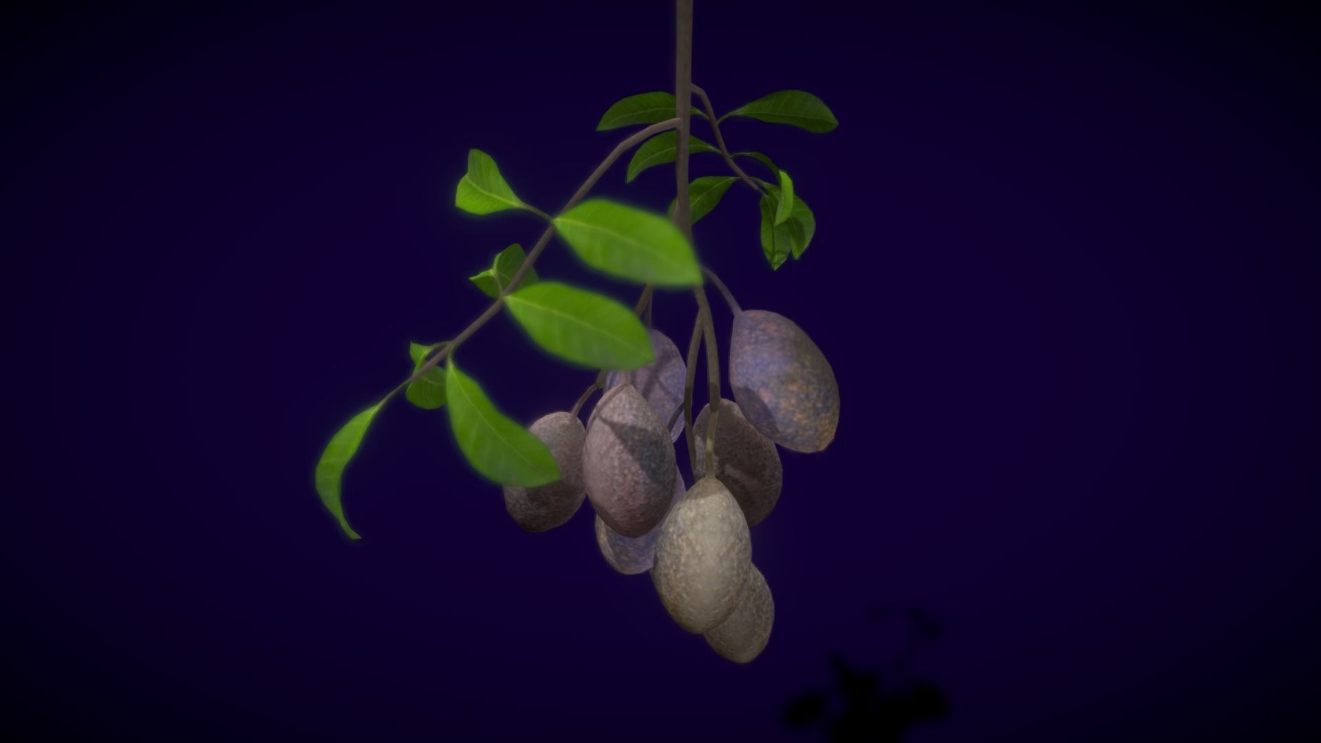 Collection Fruit Path6 Low-poly 3D model_6