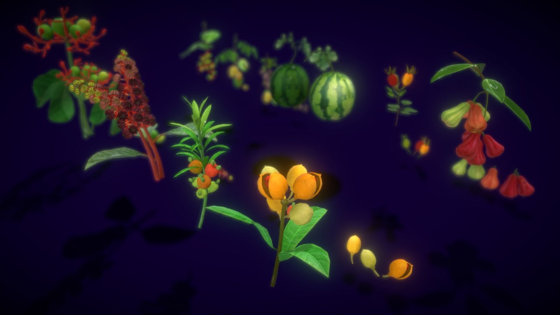 Collection Fruit Path6 Low-poly 3D model_20