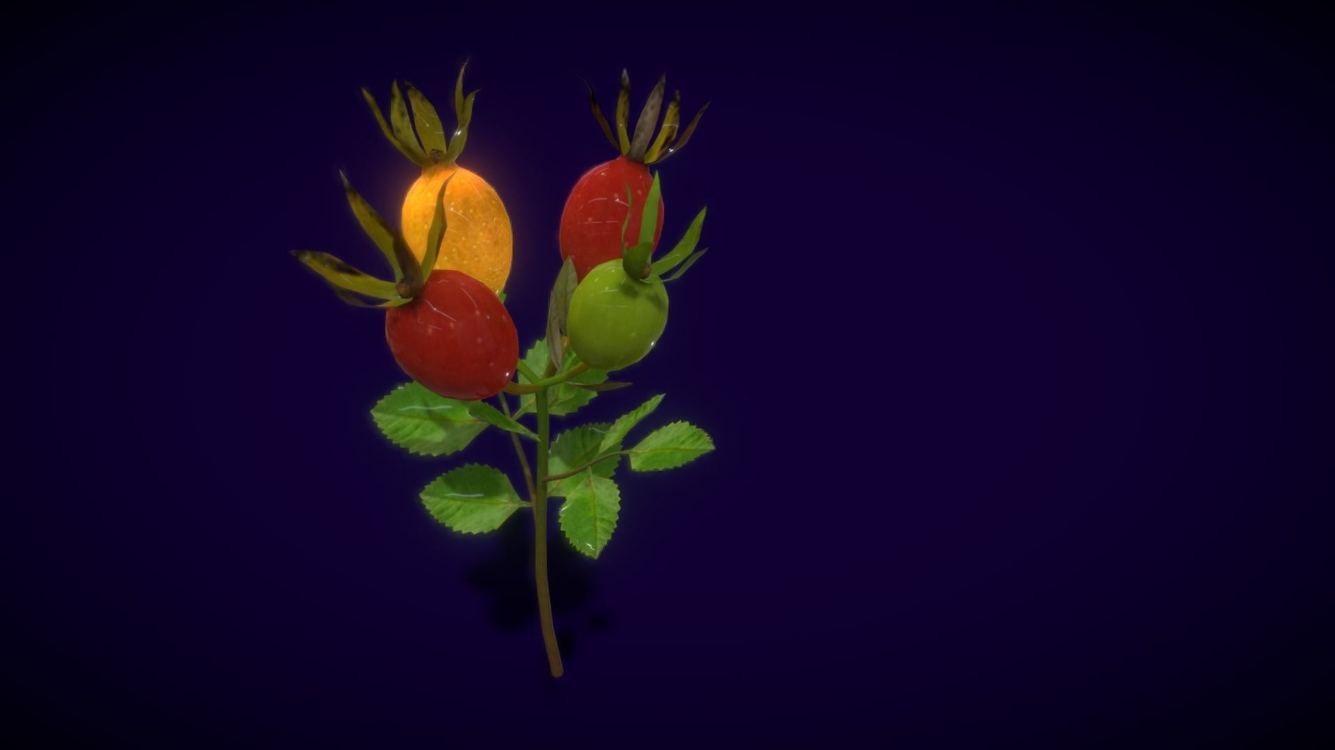 Collection Fruit Path6 Low-poly 3D model_11