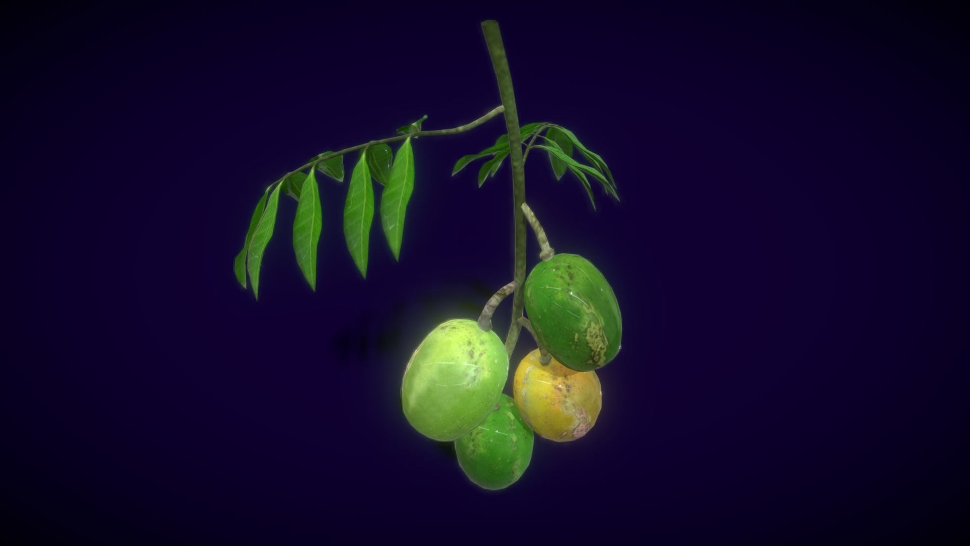 Collection Fruit Path6 Low-poly 3D model_5