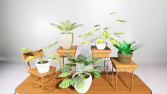 House Plants Collection