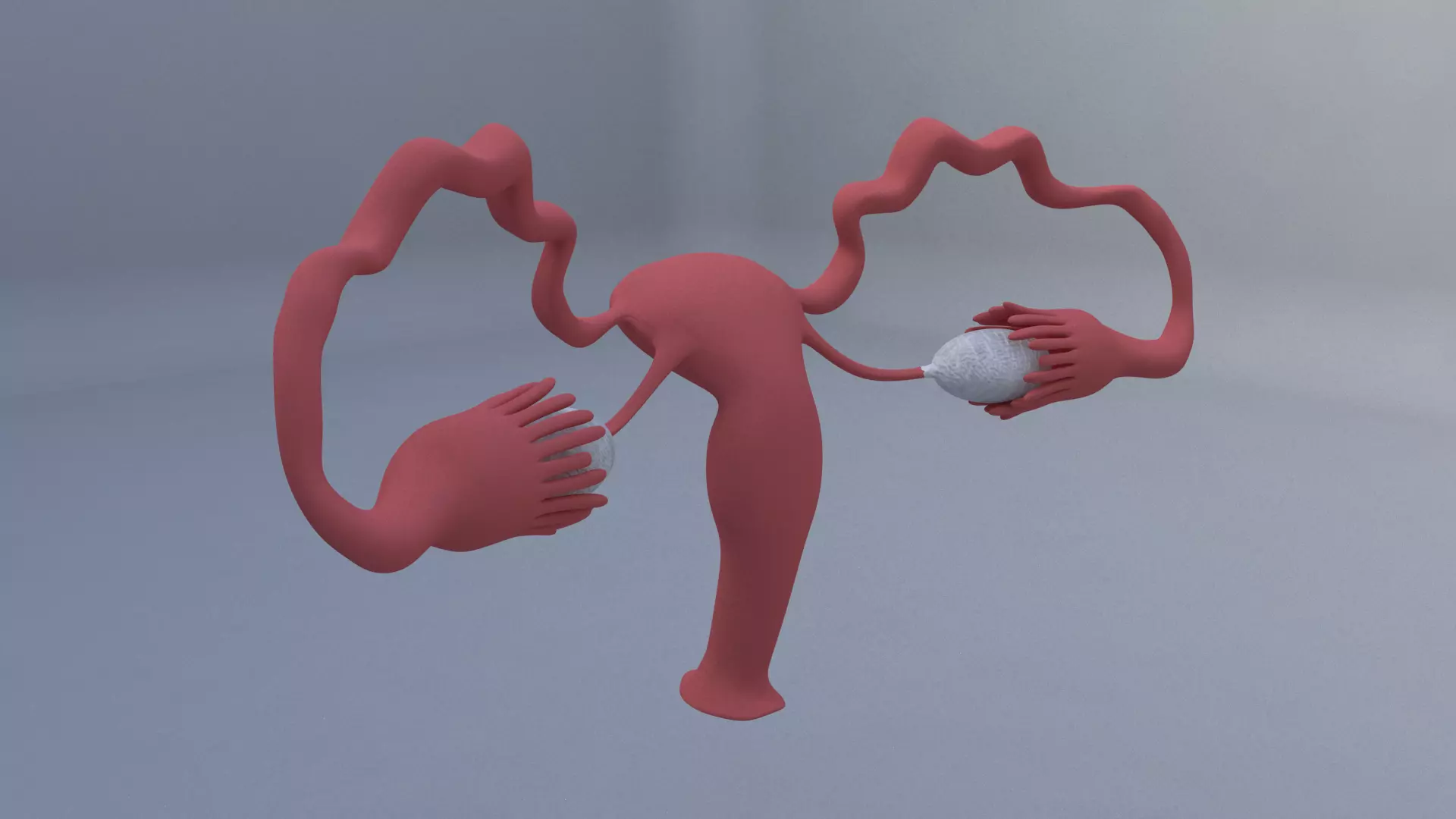 vigina uterus with ball in it 3D model
