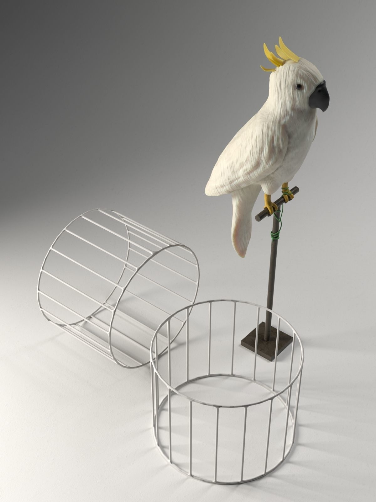 Decorative Parrot Stand 3D model_1