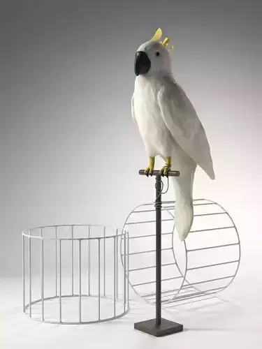 Decorative Parrot Stand