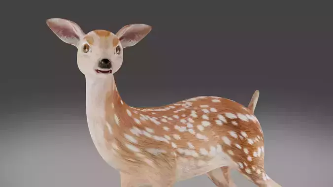  Fawn Deer Rigged and Animated  Low-poly 3D model