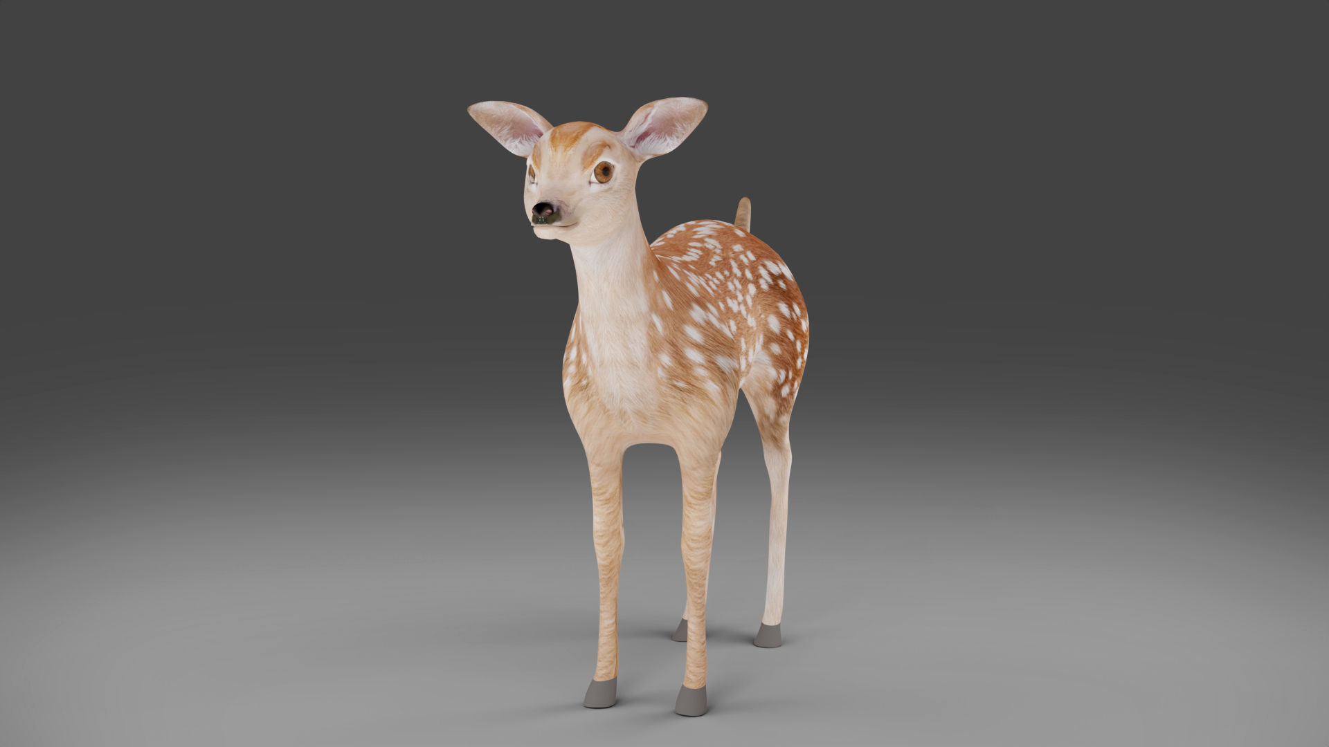 Fawn Deer Rigged and Animated Low-poly 3D model_7