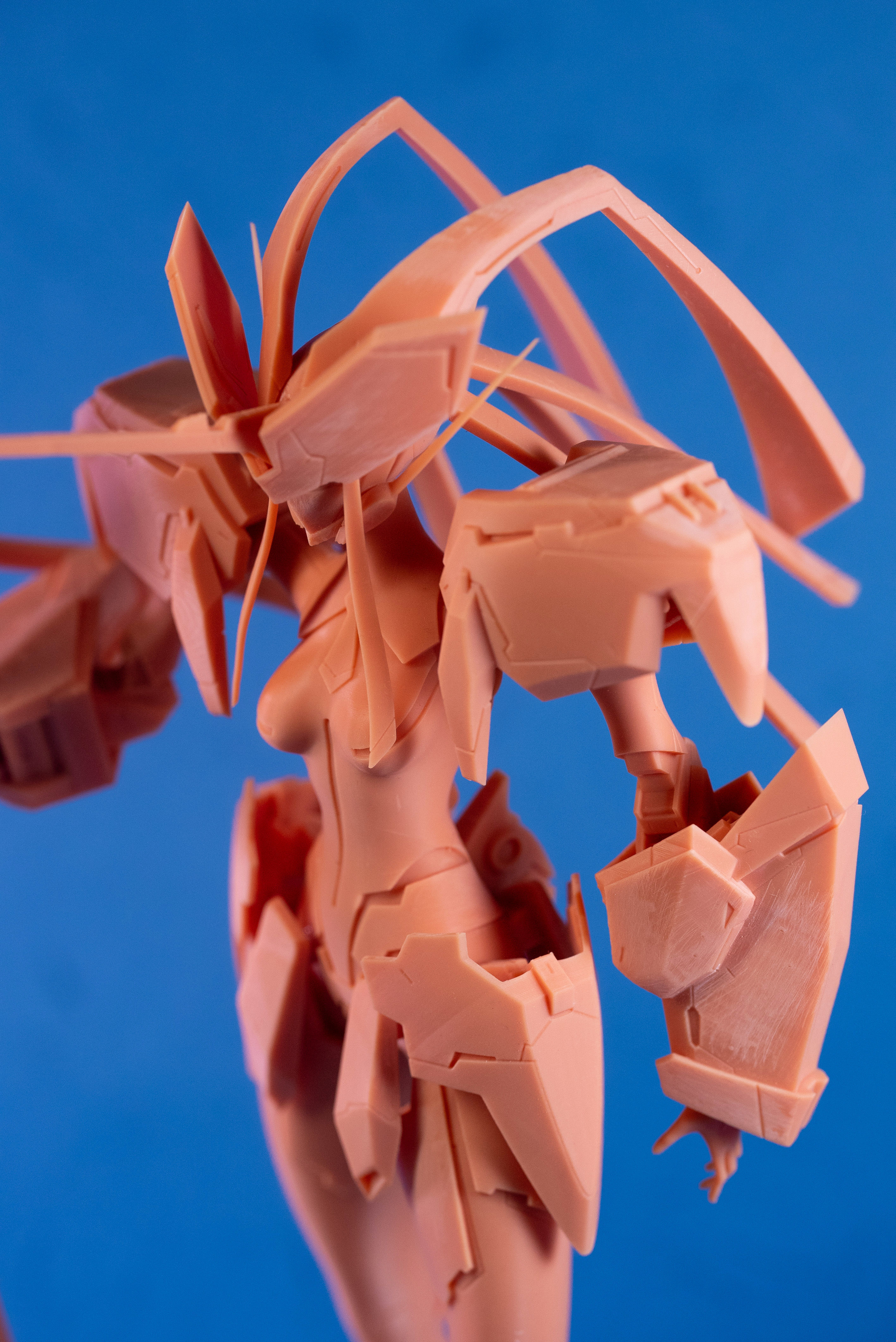 Strelizia 3D print model_8