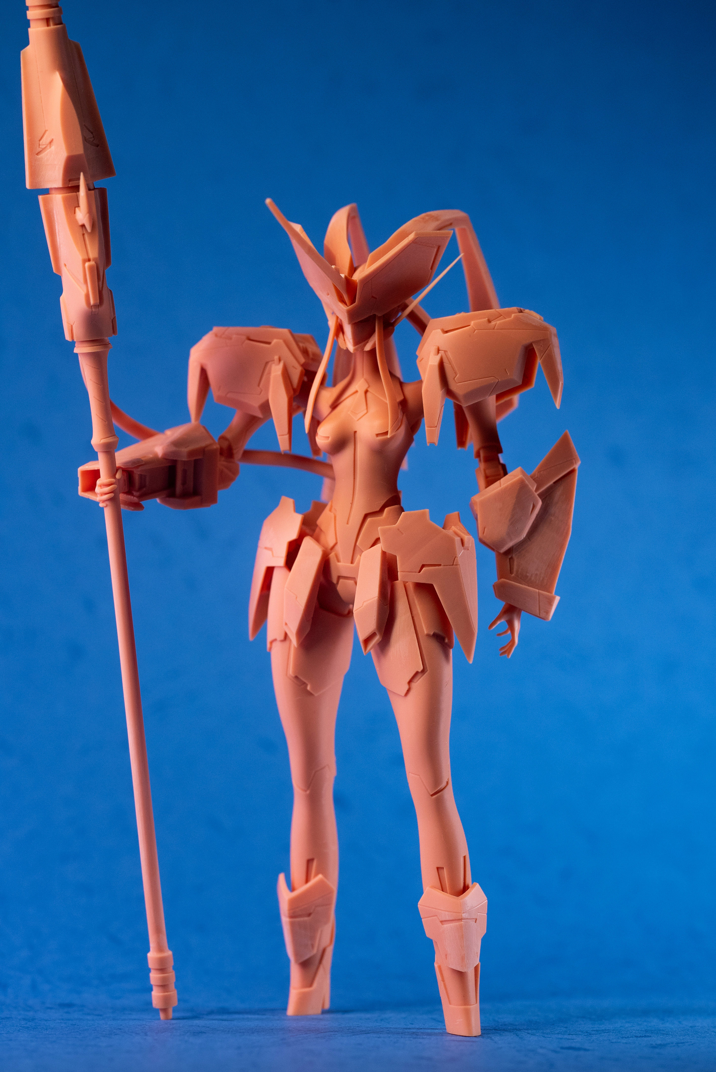 Strelizia 3D print model_2