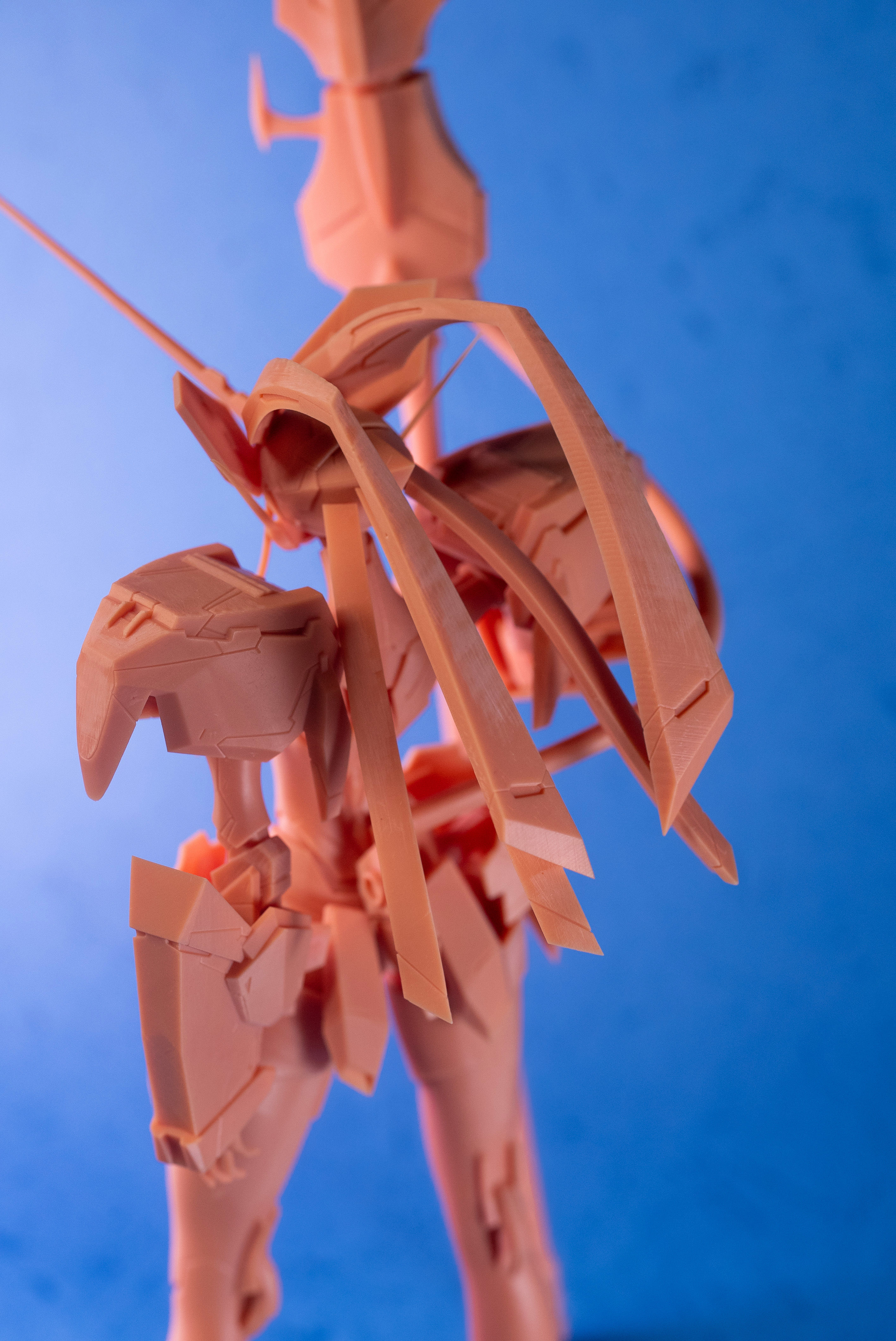 Strelizia 3D print model_4