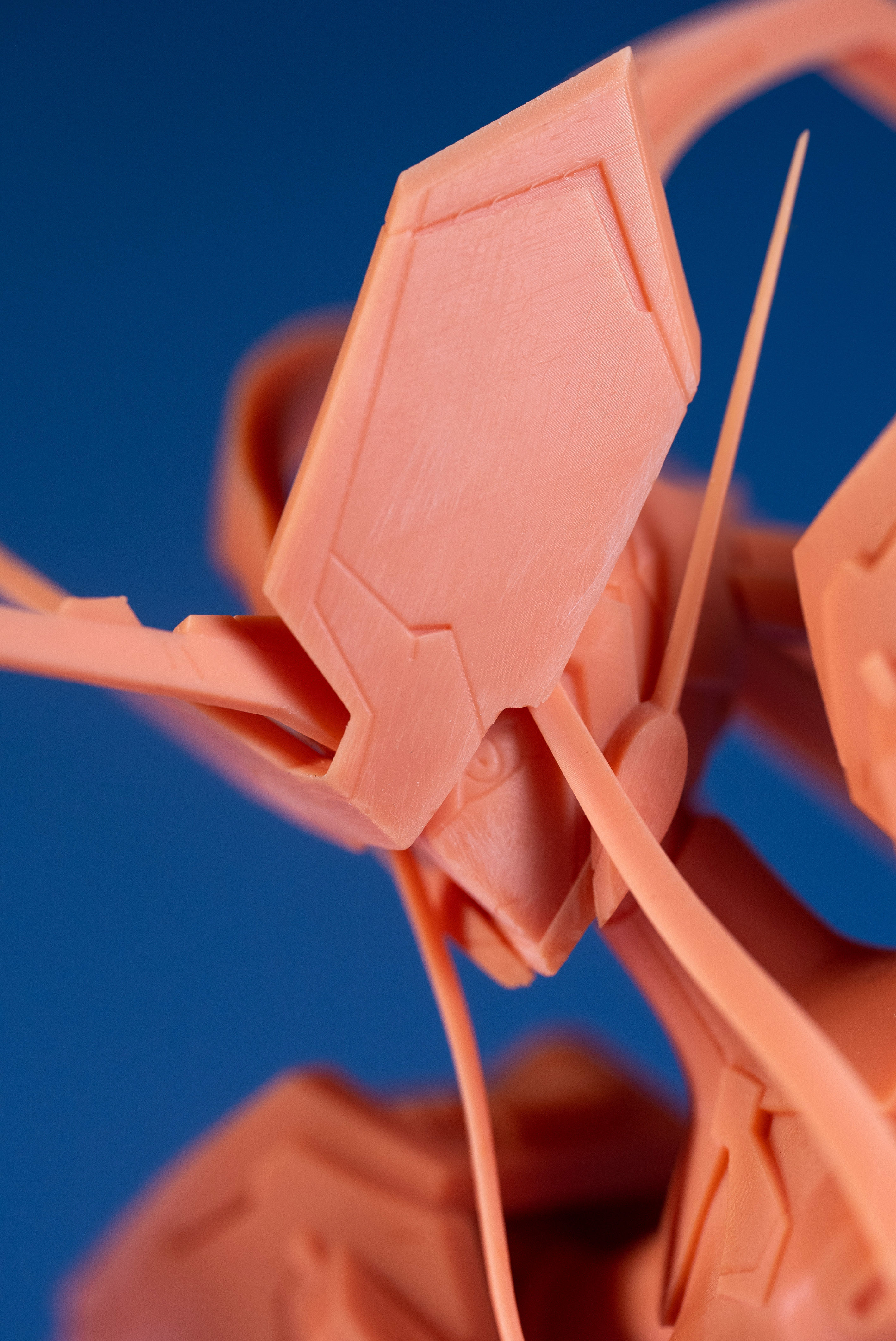 Strelizia 3D print model_6