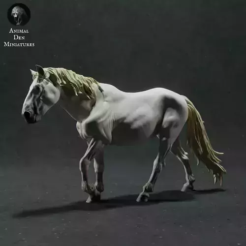 Camargue Horse 3D print model