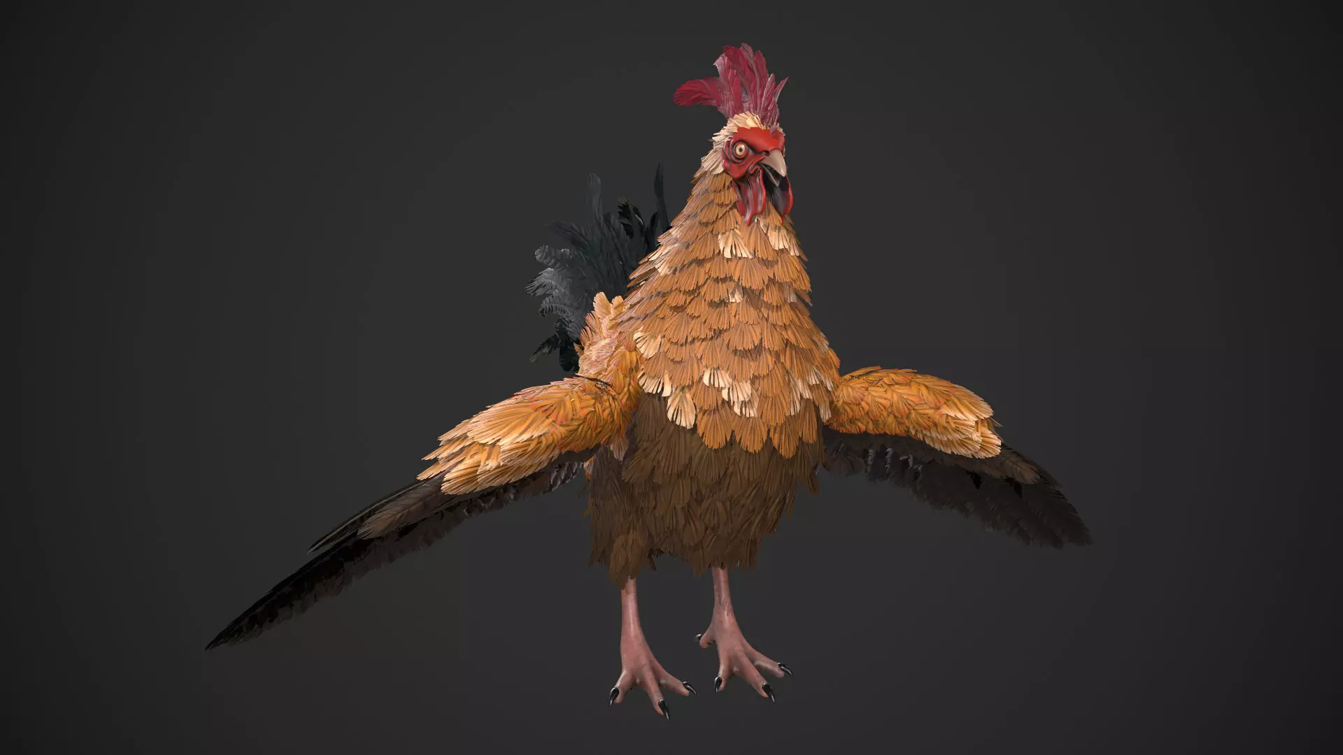 Chicken Rooster Low-poly 3D model_0