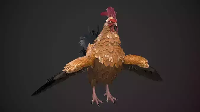 Chicken Rooster