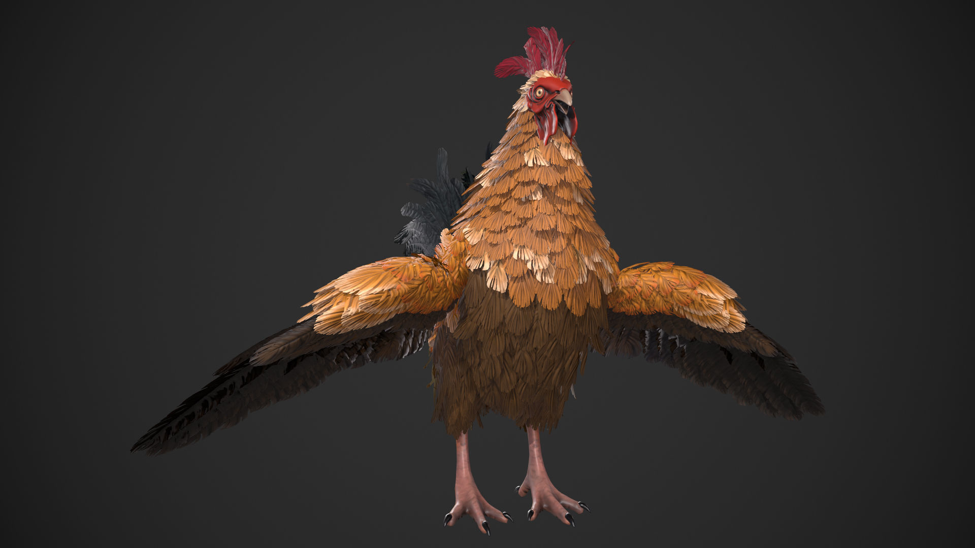 Chicken Rooster Low-poly 3D model_8