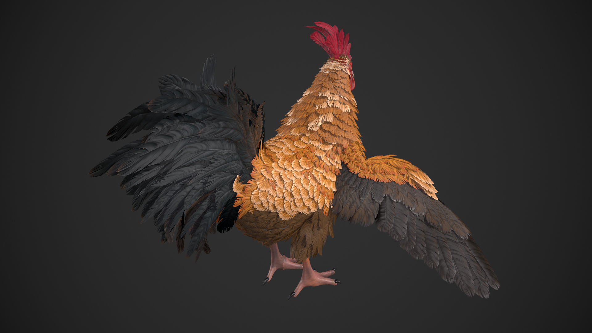 Chicken Rooster Low-poly 3D model_2