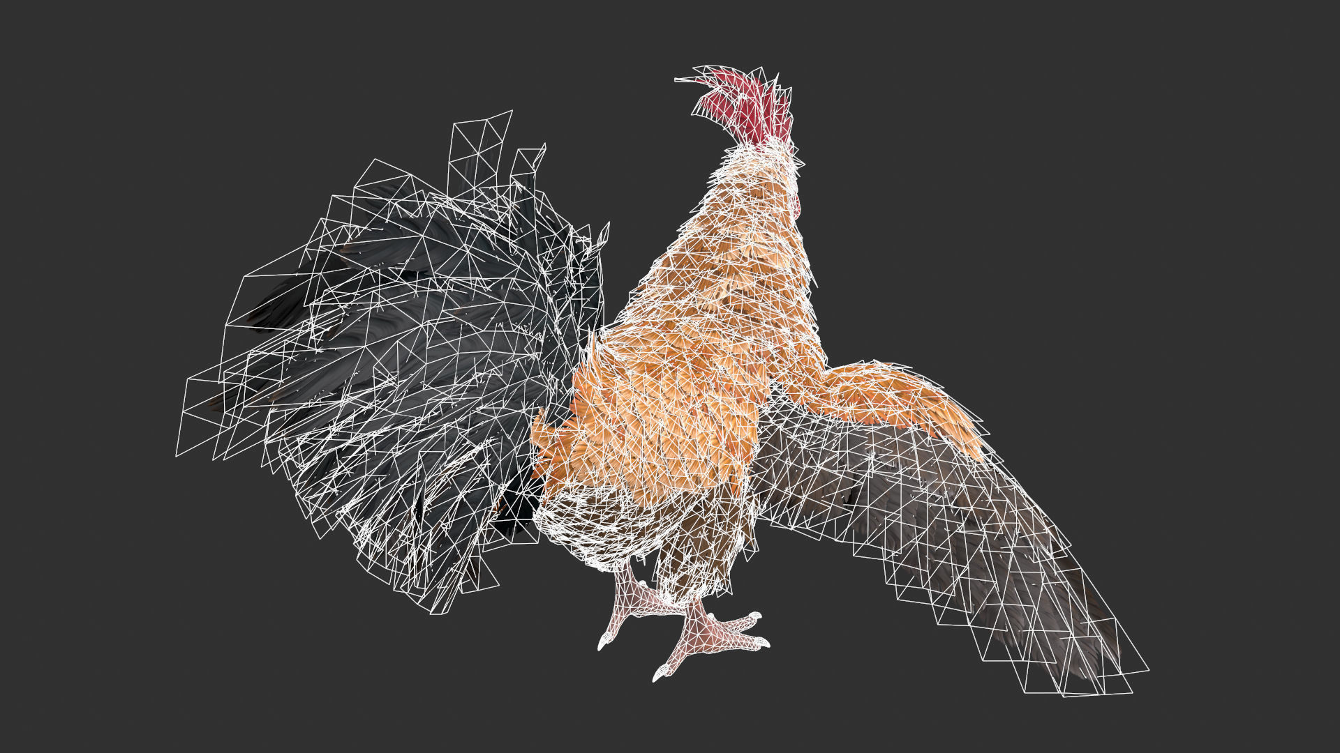 Chicken Rooster Low-poly 3D model_3