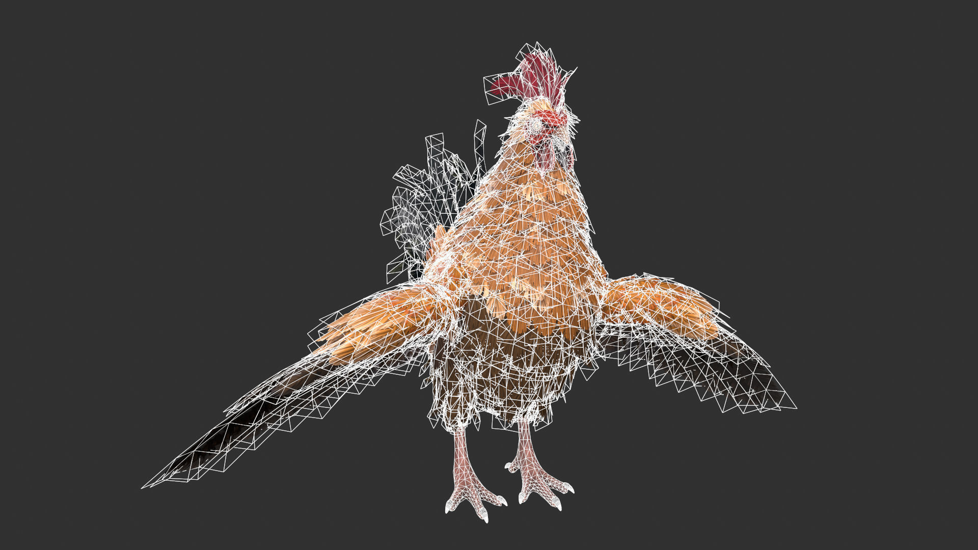 Chicken Rooster Low-poly 3D model_1